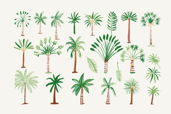 Palms Svg: A Practical Guide to Using Hand-Drawn Tropical Vector Graphics in Modern Design